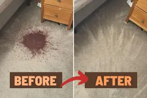 Home 60 Stain removal on a carpet showing the clean line